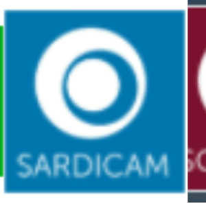 logos-locoscam-sardicam-somocam.png